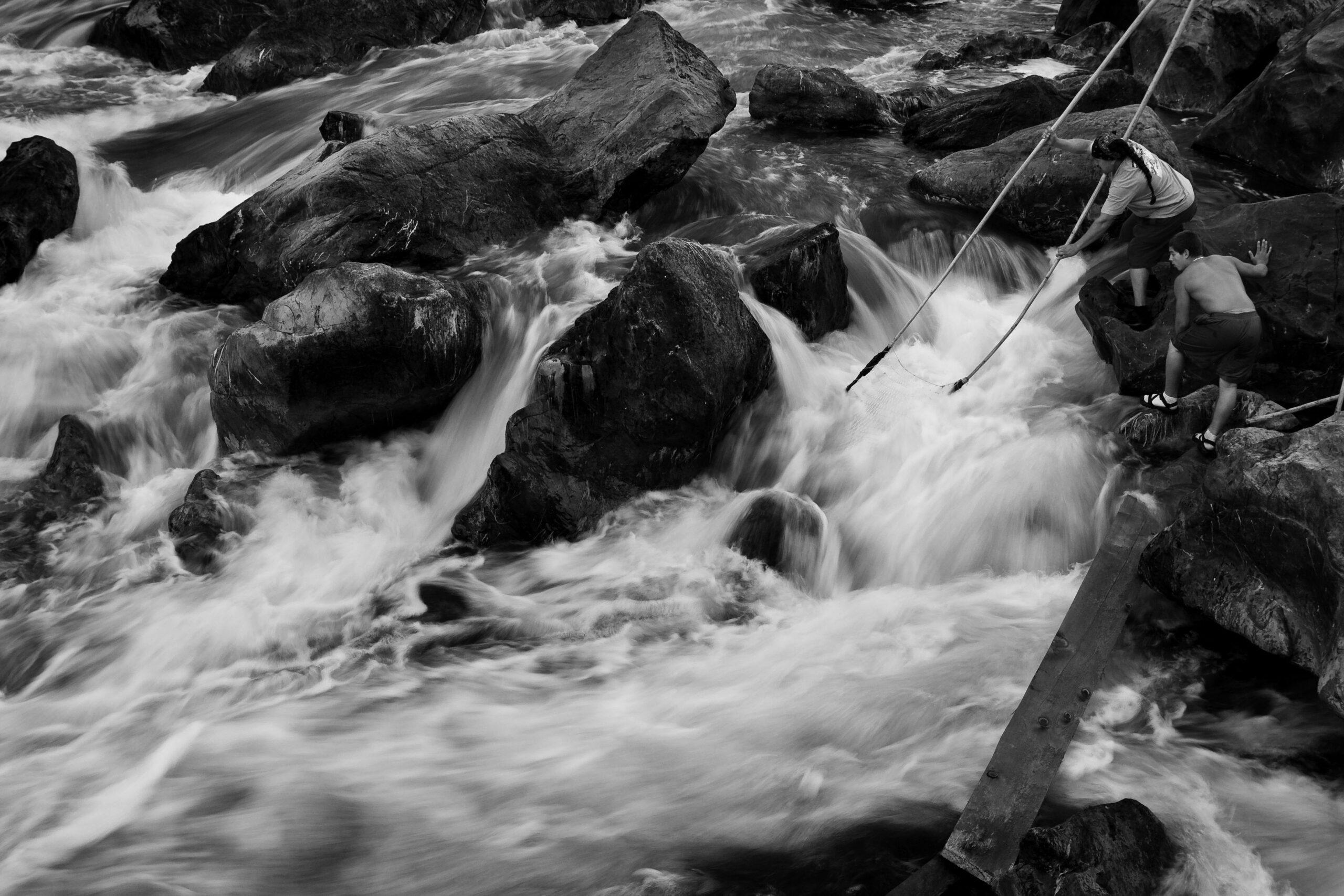 Celebrate the Historic Klamath River Restoration at Sacramento’s California Museum on Saturday, Dec. 7 