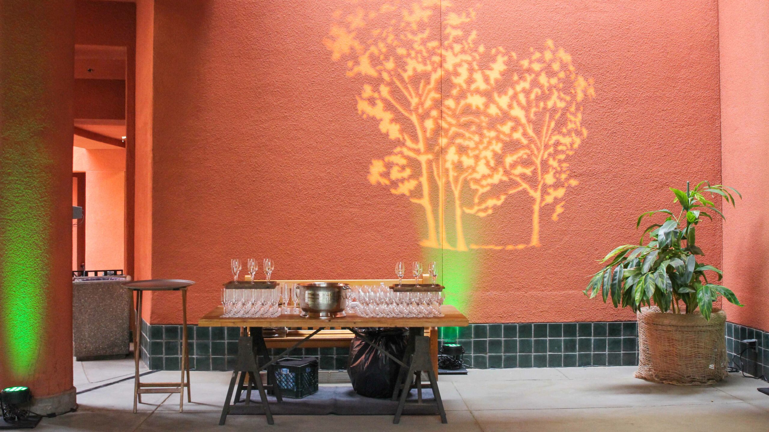 A serving table with drinks and a tree projected on a wall in the museum courtyard.