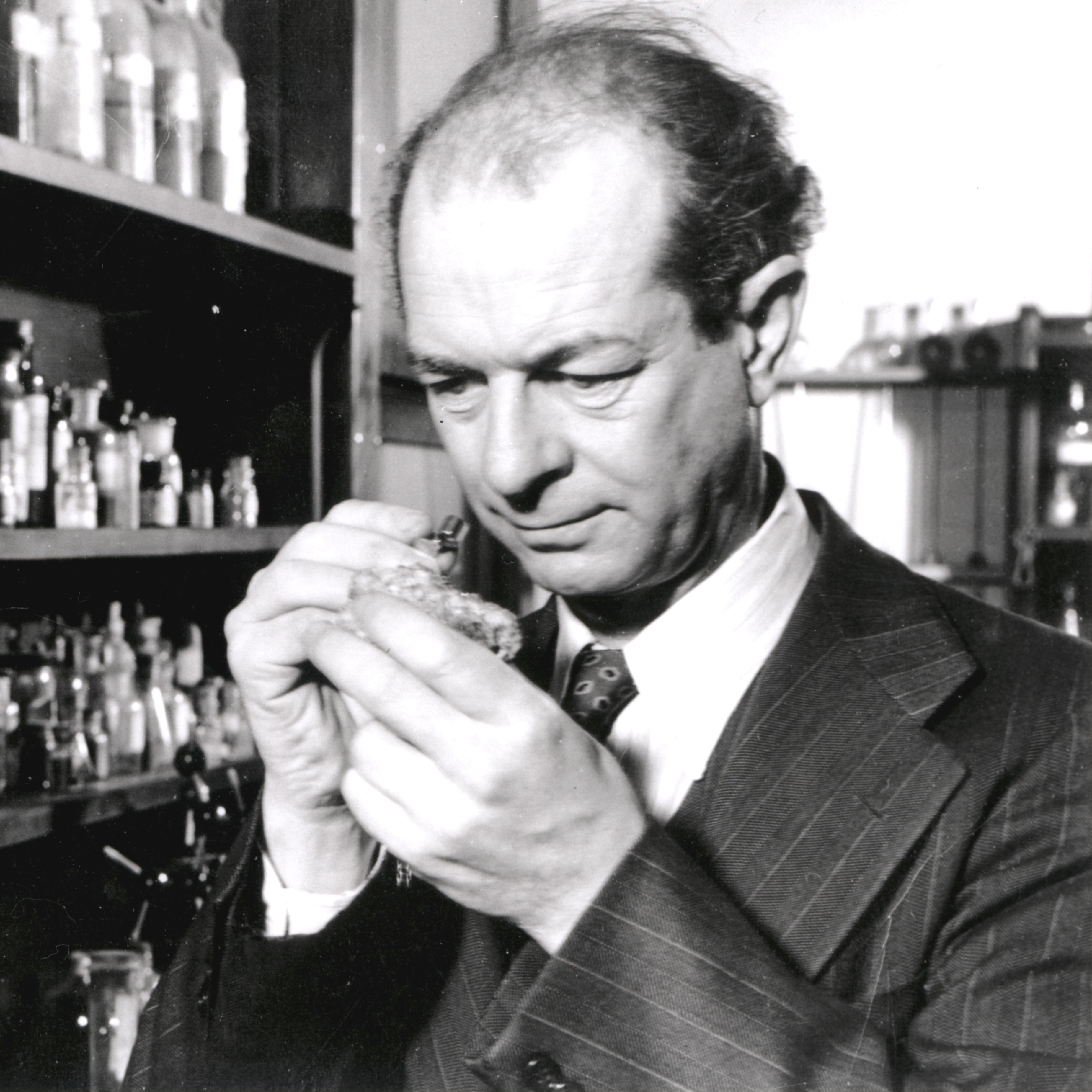 Linus Pauling stares down a test tube with numerous vilas behind him.
